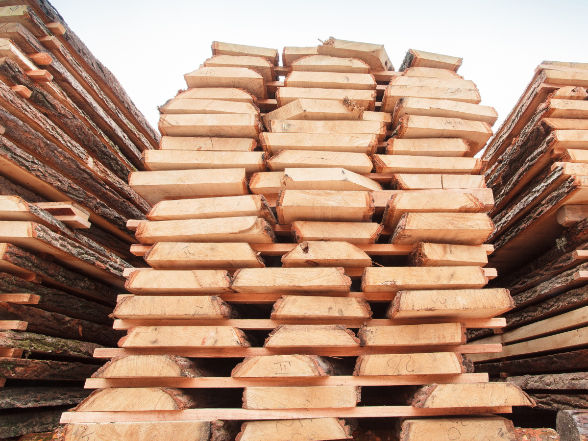 Sawn Wood: Types, Cuts, and Uses Explained